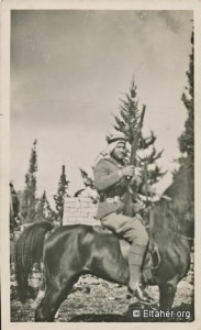 حسن-سلامة-النكبة