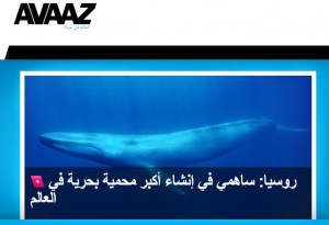 عريضة-avaaz
